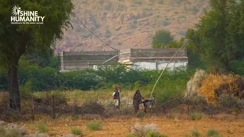 Rural laborers working in extreme heat in Sindh, Pakistan